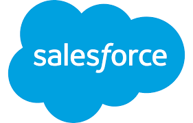 Salesforce Backup Icon
